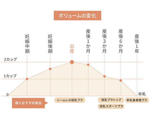 【ENEU公式】産前産後のバスト変化とブラ選び完全ガイド|授乳ブラ・卒乳ブラの選び方